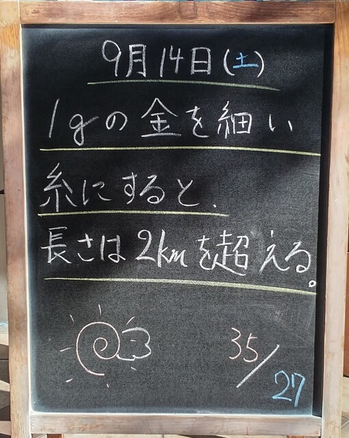 IMG_20240914_080859.jpg