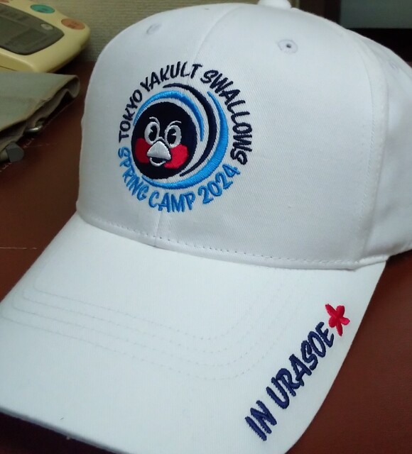 IMG_20250325_232511.jpg
